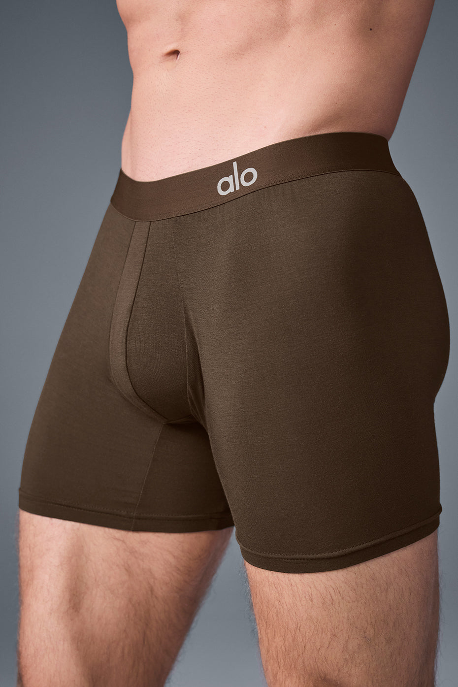 Flat lay of espresso modal boxer shorts, emphasizing the sleek waistband and breathable material.