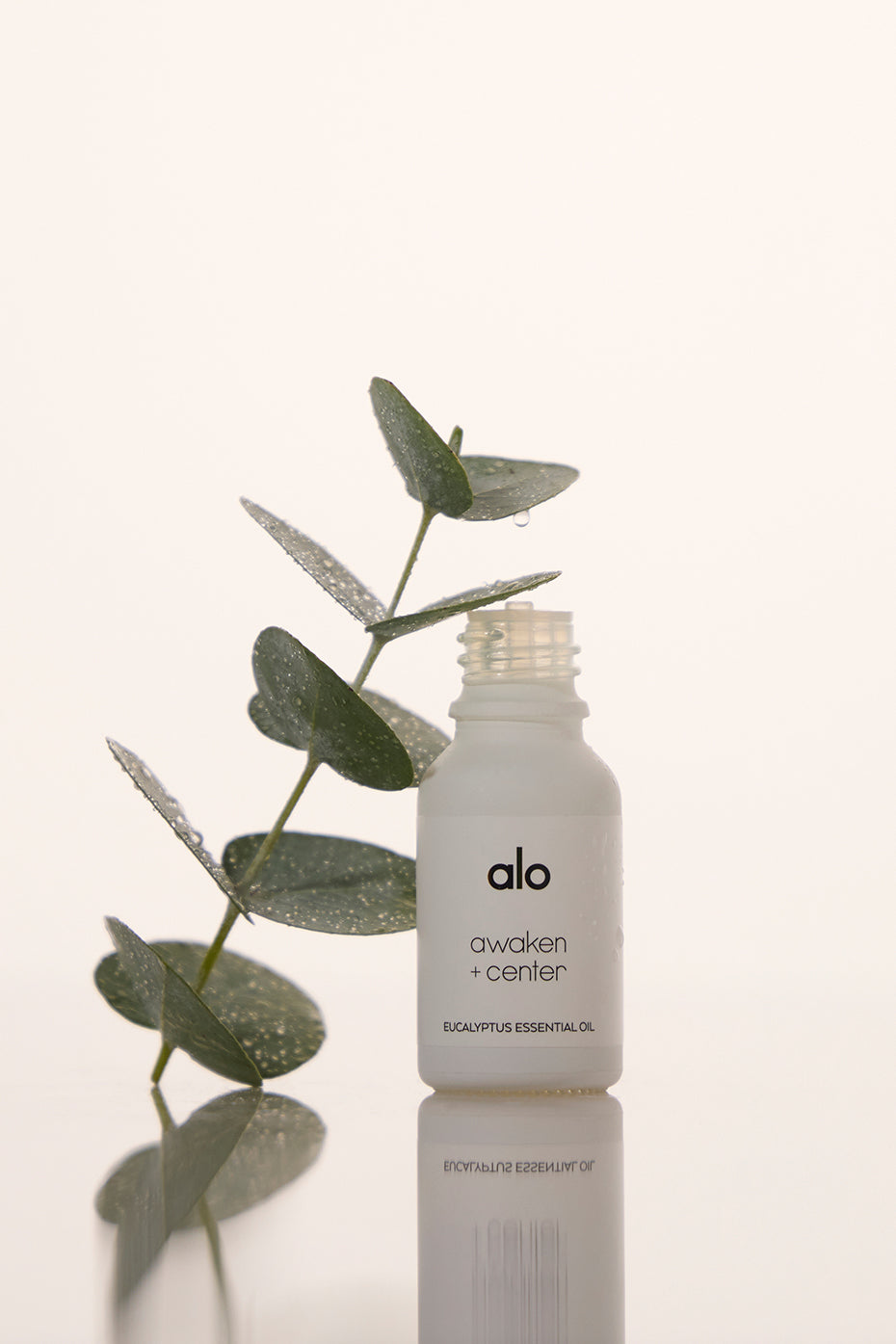 Revive Eucalyptus Essential Oil bottle with a diffuser and eucalyptus leaves.