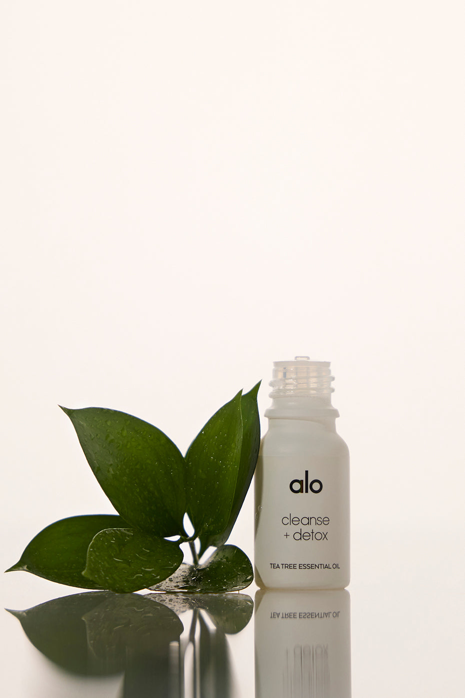 Bottle of tea tree essential oil with fresh leaves in background for aromatherapy use