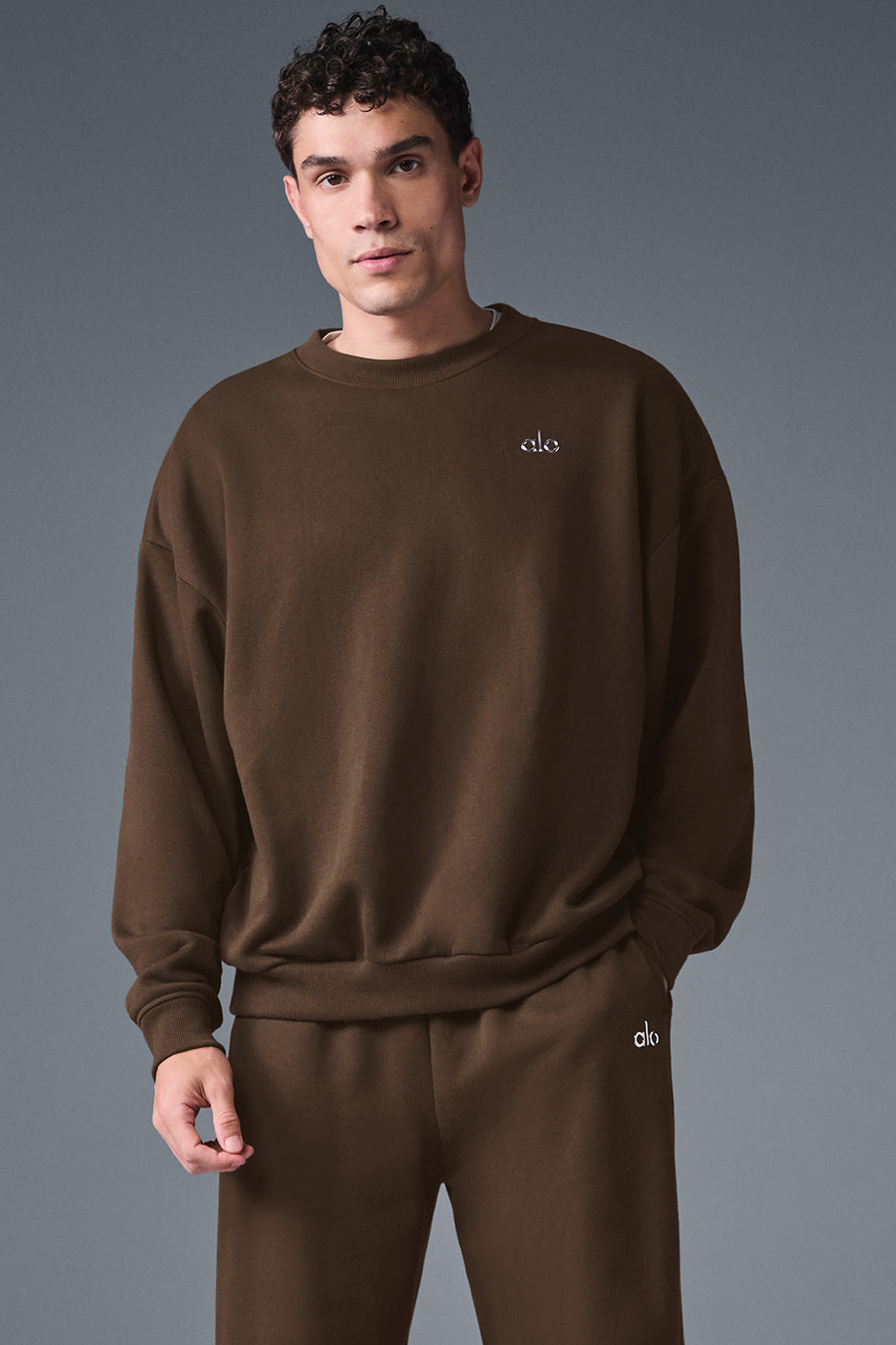 Front view of men's crewneck sweatshirt with chrome chest logo